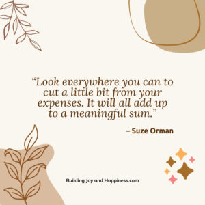 “Look everywhere you can to cut a little bit from your expenses. It will all add up to a meaningful sum.”  – Suze Orman